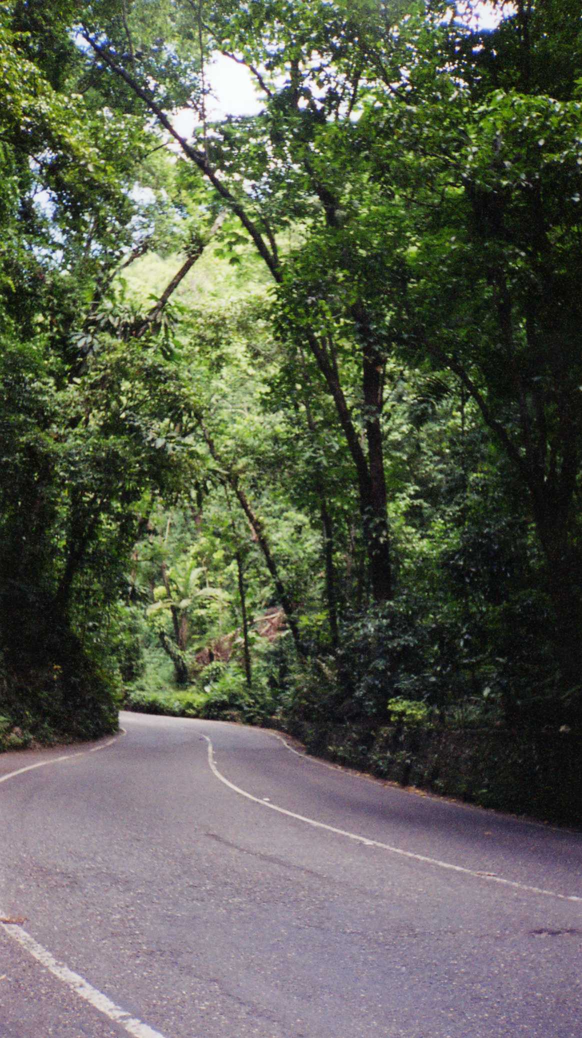 Dunn's River Falls and Countryside Sightseeing 